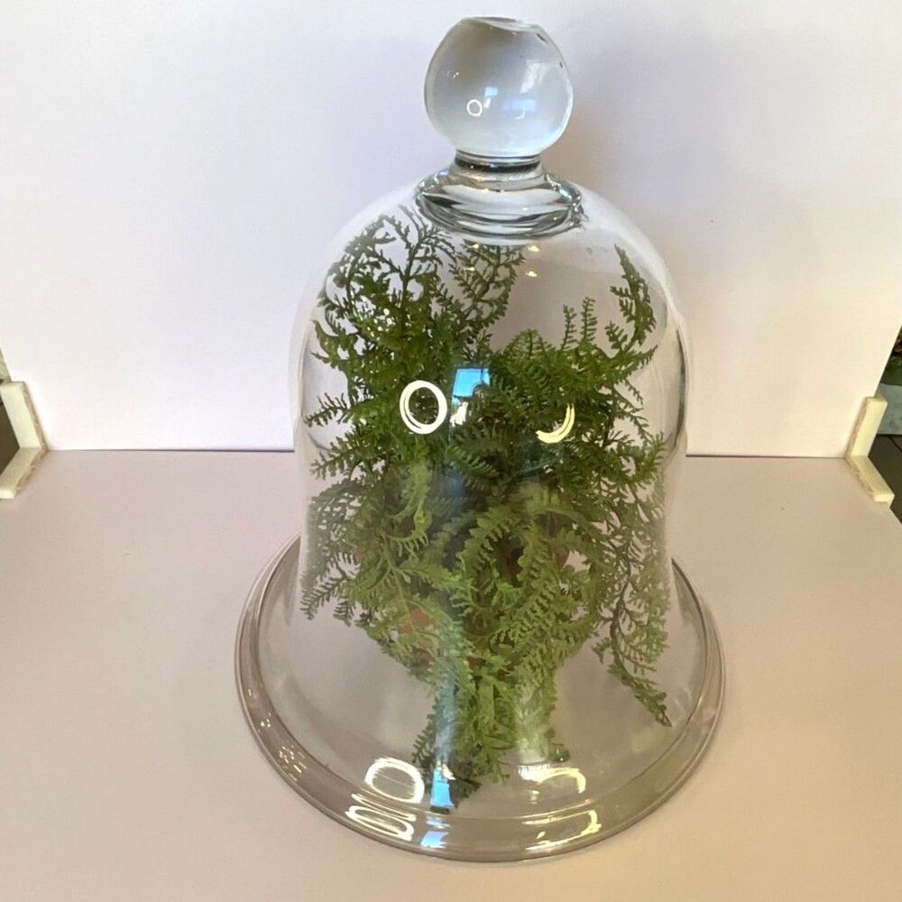 Glass Bell Cloche Vintage